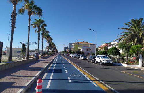 stella marina - Foto 26