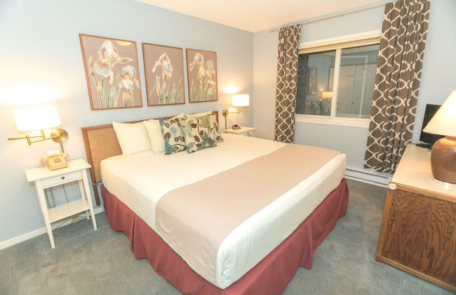 The Grey Gull - Foto 49