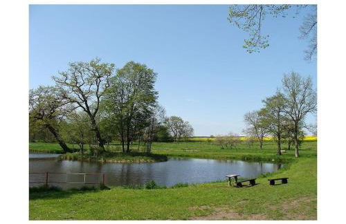 Schloss Badow Comfortable holiday residence - Foto 17