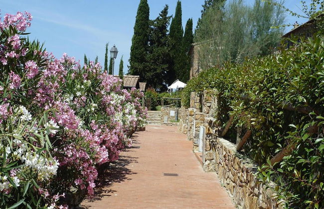 Apartment Stay in Campiglia Town - Foto 37