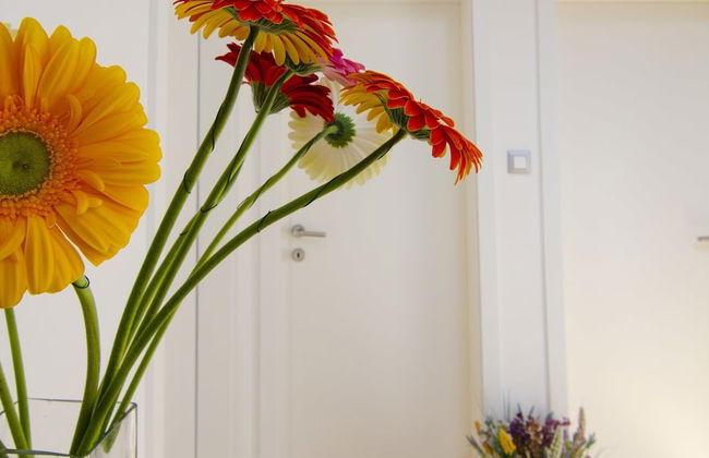 Villa Green Garden - Foto 26