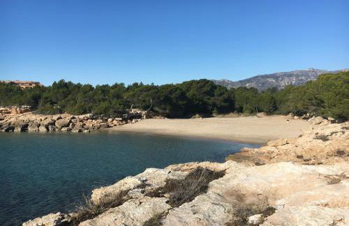 La Mandioca - Foto 24