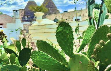 TRULLI ALLEGRETTI - Foto 46