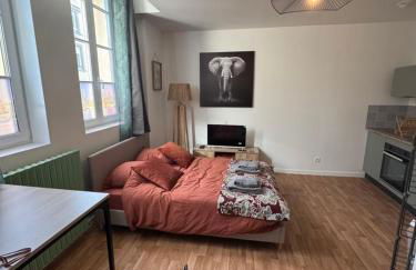 Studio Voyage - Proche centre ville - Foto 1