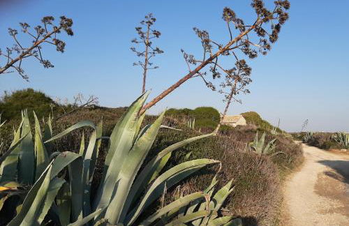 Casa Romano - Marina di Modica - Foto 61