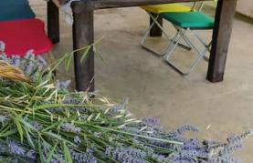 Casa de Campo - Casa da Ribeira - Foto 7