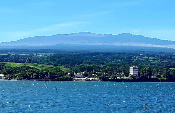 Ferns & Frogs Forest Hale 3 Bedroom Home by RedAwning - Foto 37