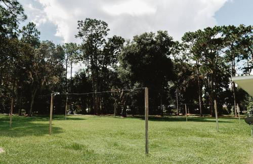 Madre Tierra - Photo 18