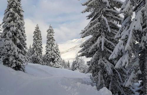 les Grands Balcons de l'Etale - Photo 34