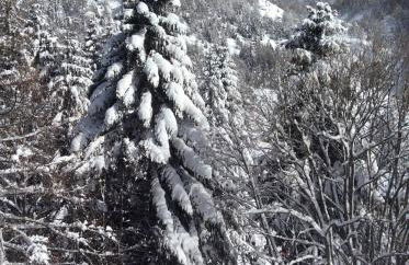 Les Terrasses de Labrau - Foto 35