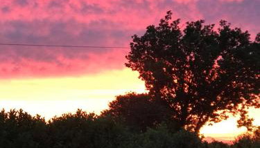 Little Banks Barn - Foto 5