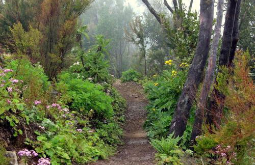 Finca La Ladera - Foto 25