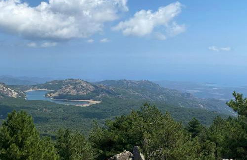 Contemporary Villa In Southern Corsica - Foto 28