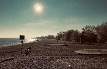 Michaels Elbtraum - Foto 10