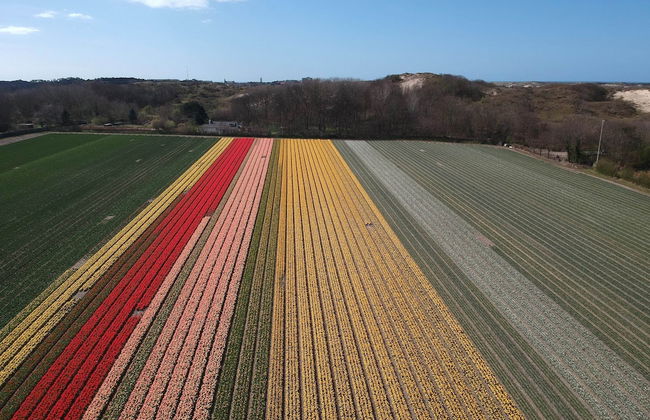 Holiday Home in Egmond by the Beach - Foto 38
