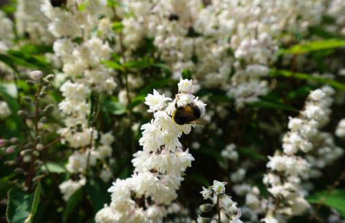 Günnis Perle am Harleufer - Photo 14