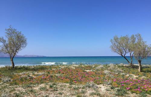 WeCrete Apartments - Foto 27