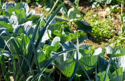 70's wood house - Foto 47