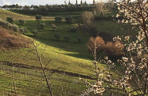 Tenuta delle Rose - Foto 19