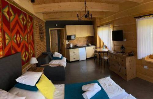 SASÓWKA APARTAMENT - Foto 5