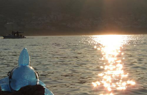 Apartments Luna - Photo 40