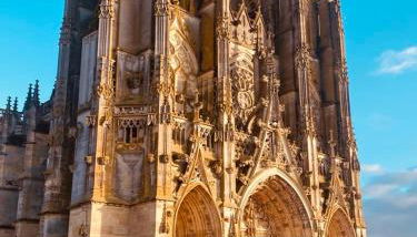 La petite bulle - Foto 5