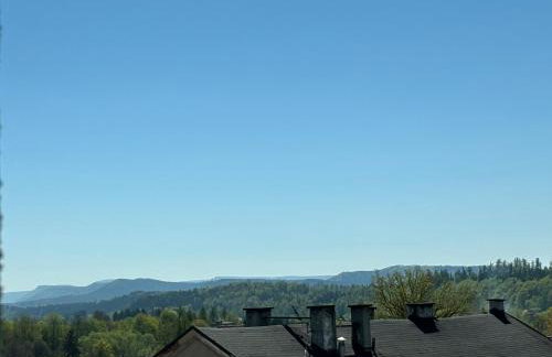 Apartament Gold Rynek Mieroszów Wi-Fi, nc plus - Foto 13