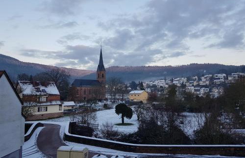 Zauberhafte Wohnung in der Nähe von Heidelberg, top Lage - Foto 39