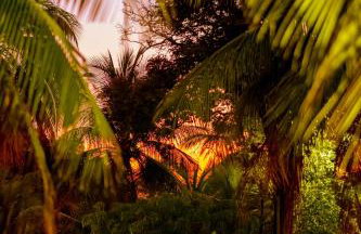 Refugios Parajuru - Casa Inge - Photo 39