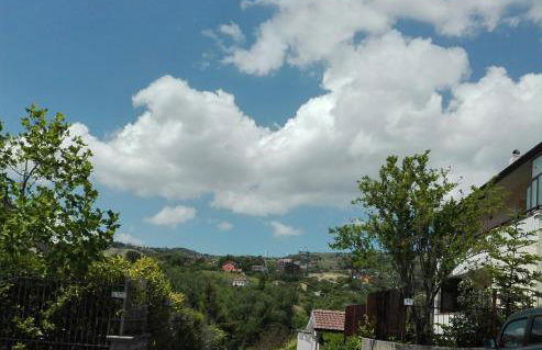 The Flowers' House - Photo 41