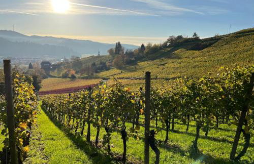 Black Forest Brandenkopfblick - Foto 8