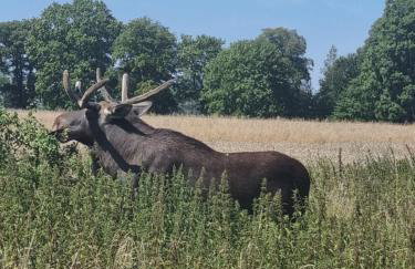 Zacisze Mazurskie - Foto 77