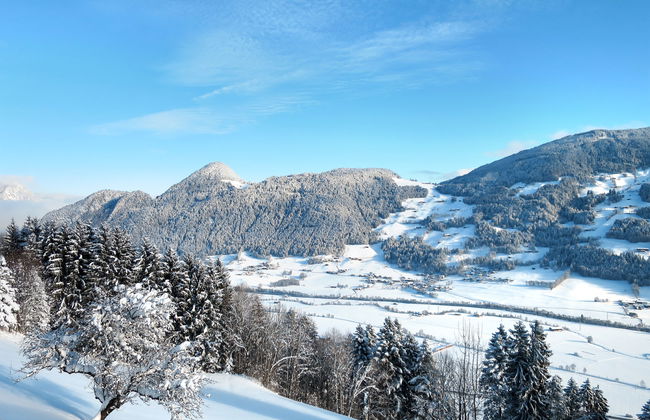 Baumannerhof - Photo 35