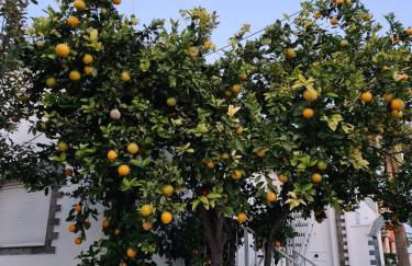 Casa Coqueta - Foto 9