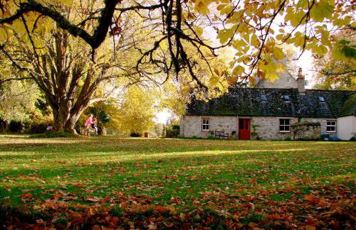 The Dell of Abernethy - A Woodland hideaway - Foto 25