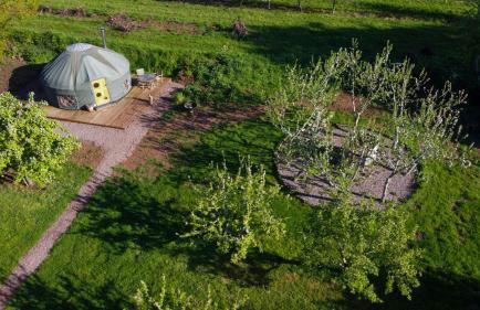 Dragon Orchard Retreat - Foto 36