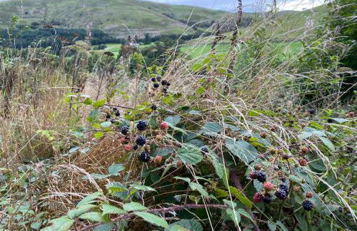 Stables Cottage - Foto 39