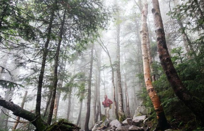 Bodetaler Basecamp Lodge - Foto 19