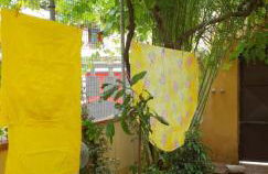 Appartamenti Villa Wanda - Foto 21