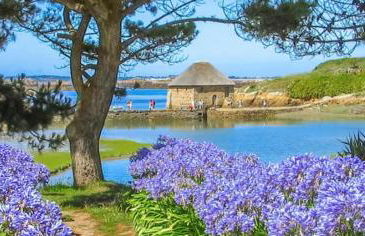 le petit gîte de mag - Foto 15