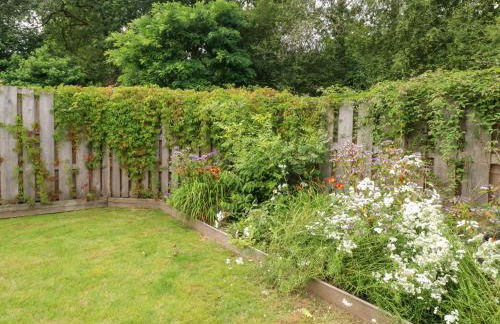 Gloccamaura - Foto 43