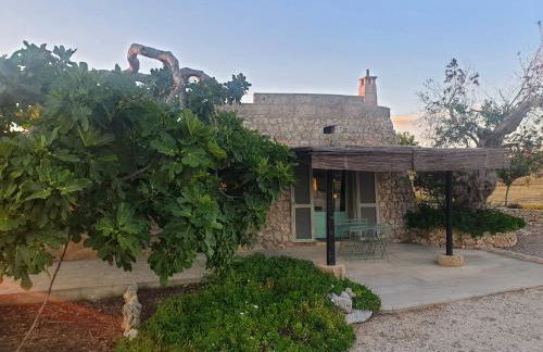 Agriturismo Le Cupole - Foto 8