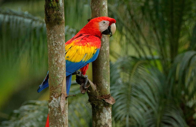 Aluxes Ecopark Trip - Foto 1