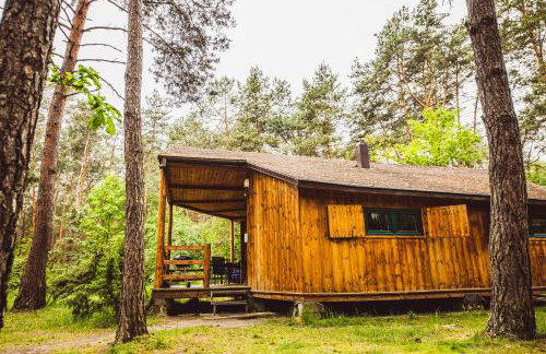 Autumn Nature Cottage Stove Garden by PolandBnB - Foto 28