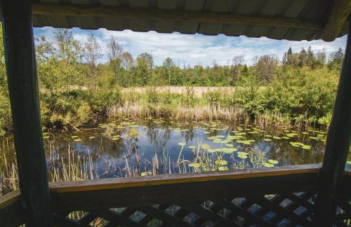 Chatka w lesie - Foto 24