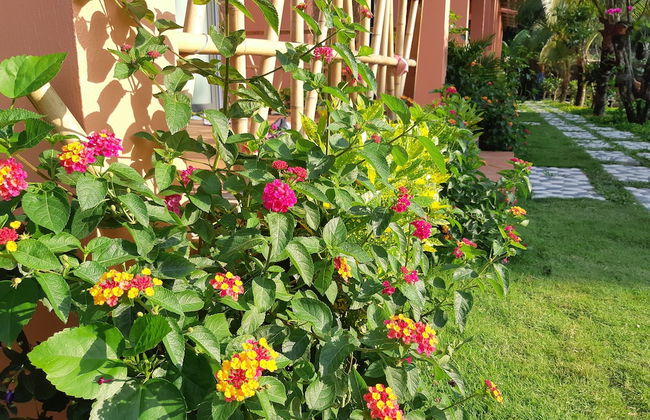 An An Boutique Homestay - Foto 43