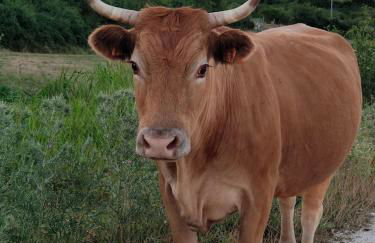 La Dimora in Pietra - Foto 35