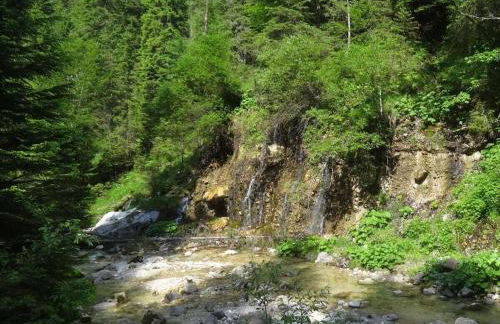 Holiday apartment with 2 bedrooms - Foto 32