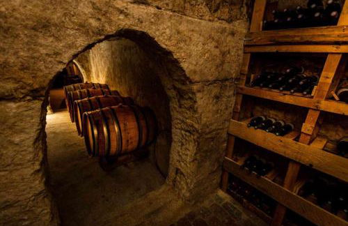 Mas du Notaire - Photo 48