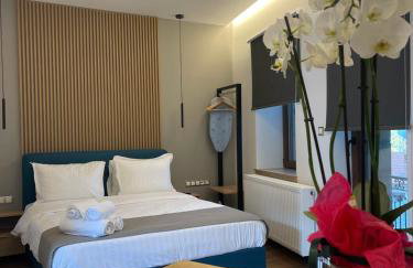 11 Luxury apartments. - Photo 1